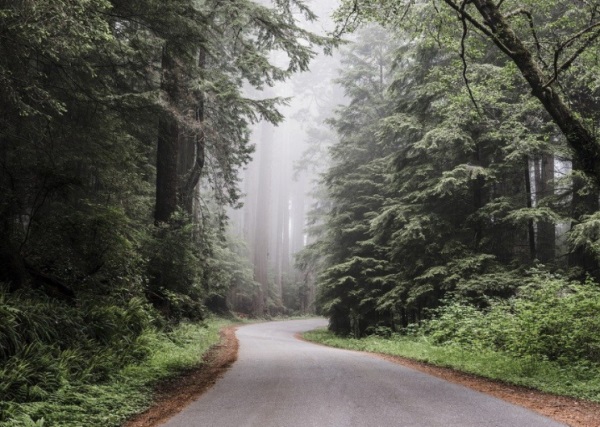 龙年出生的宝宝小名