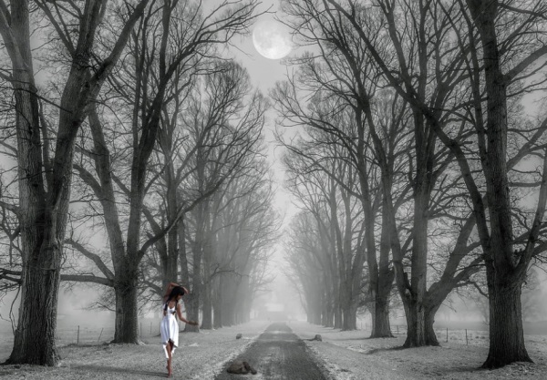 属龙女孩名字优雅诗经 属龙女孩名字唯美