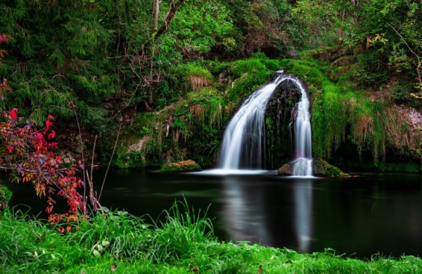 诗经中带歆的女孩名