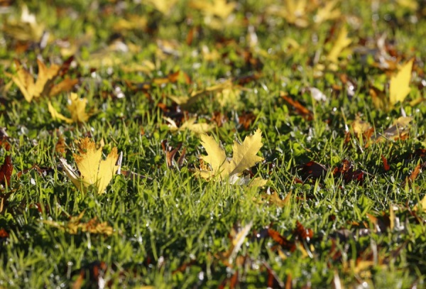 简单好听稀少的男孩名字,响亮大方