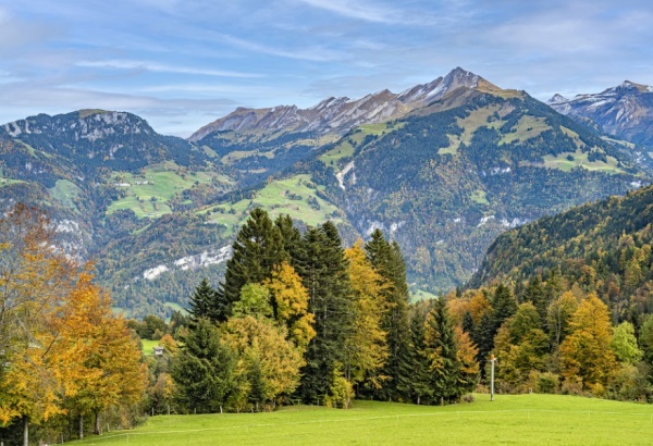 滨字女孩最佳组合名字