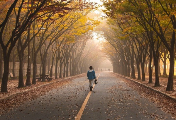 宋词中优美的男孩名字,温润如玉