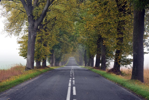 带思字女孩名字怎么起名有涵养寓意聪明