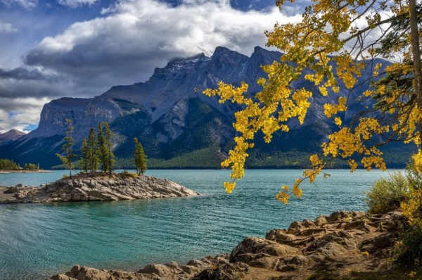 楚辞中最儒雅的名字