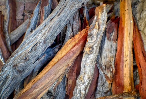 2025属龙女孩大气名字