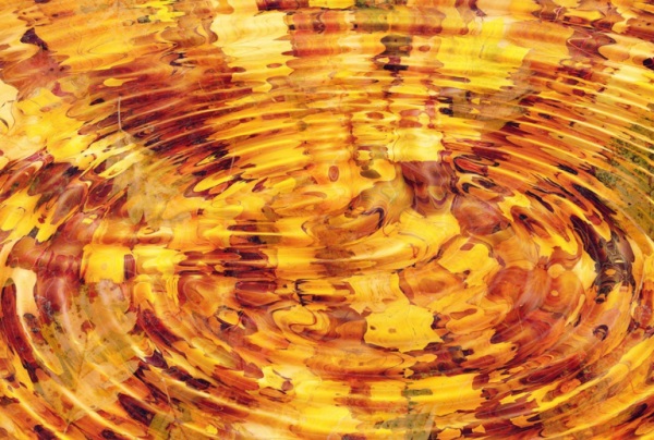 钟氏有诗意的女孩名字（让你的宝宝拥有梦幻般的名字）