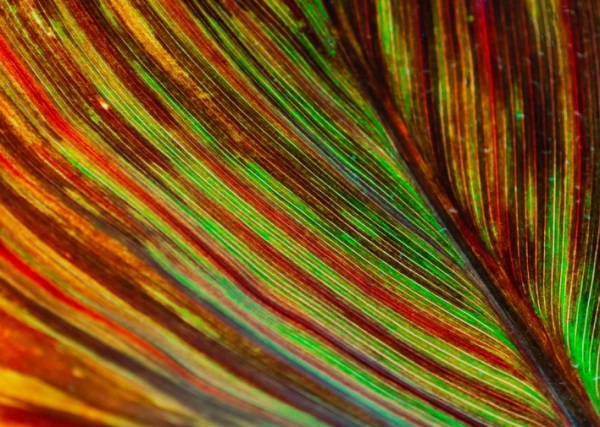 年好听文雅的女生名字大全