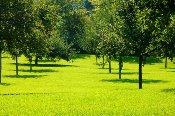 牛年金牛宝宝起名改名，周易取名生辰八字