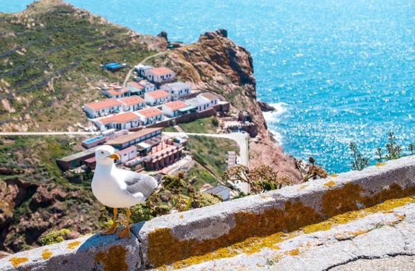 晟字起名男孩名字大全,带晟的男宝宝名字大全