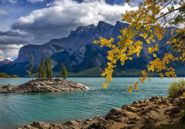 360个羊年宝宝小名大全