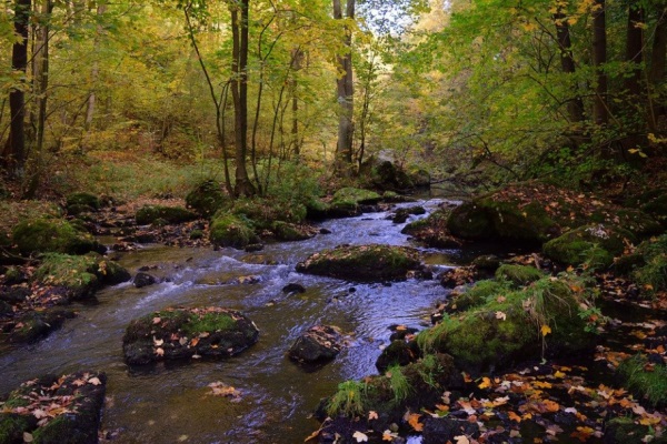 很火的罗氏女宝宝起名，女孩子姓罗取什么名字好？