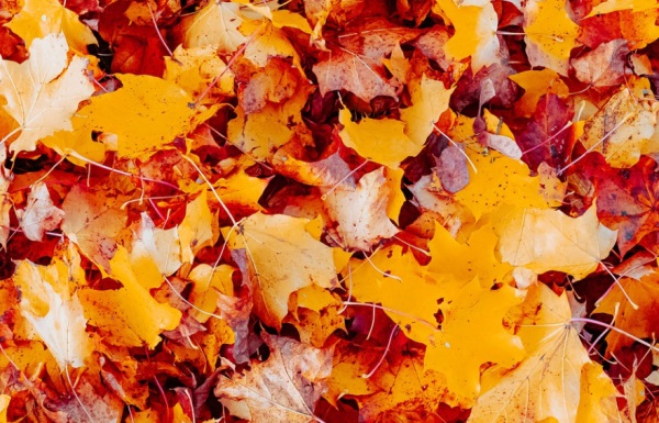 取名字大全：小男孩好听名字首选