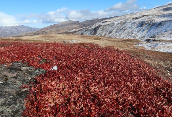 宝宝乳名大全 适合新生羊宝宝的好听吉利乳名