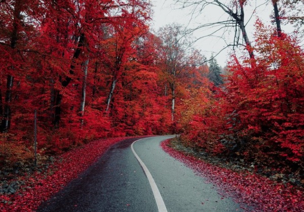 好听的名字女孩 起名方法精选