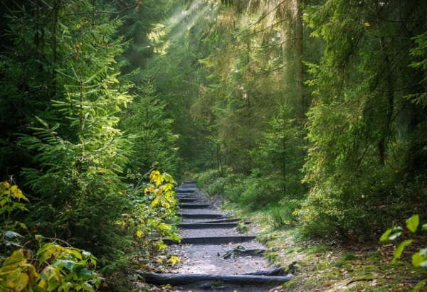 属猴的女宝宝名字大全