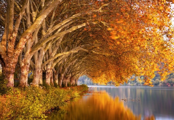 鸡年给宝宝起一个萌萌哒的小名乳名