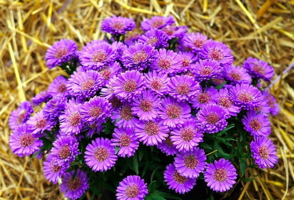 2025年出生的男宝宝名字大全