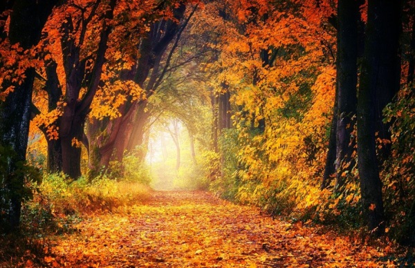 男孩小名大全 给宝宝取个好听乳名的方法