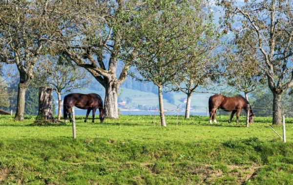 寓意丰富的男孩名字