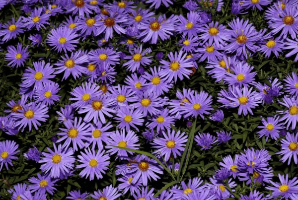 小名乳名大全：时尚好听的宝宝小名大全