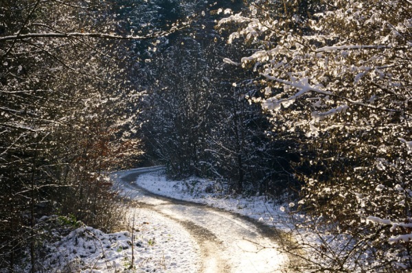 和杉字组成好听的名字