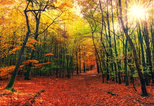 2025男孩大气有涵养的名字