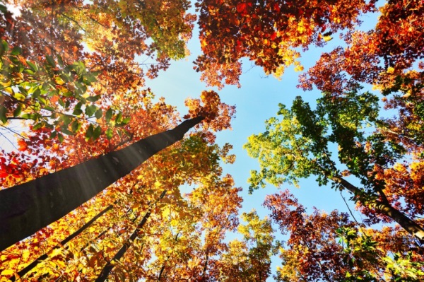 百家姓取名大全：侯姓男孩名字大全