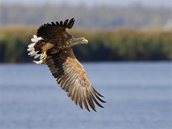 男孩亮字配什么名字好