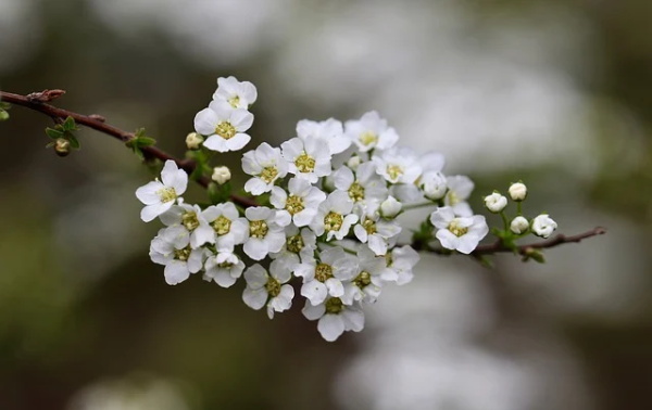 带有青春的男生网名