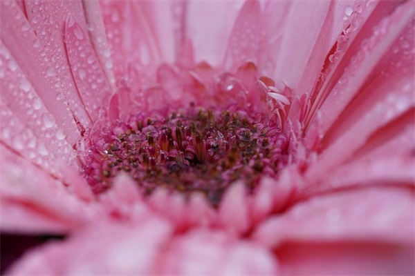 男生带果的网名