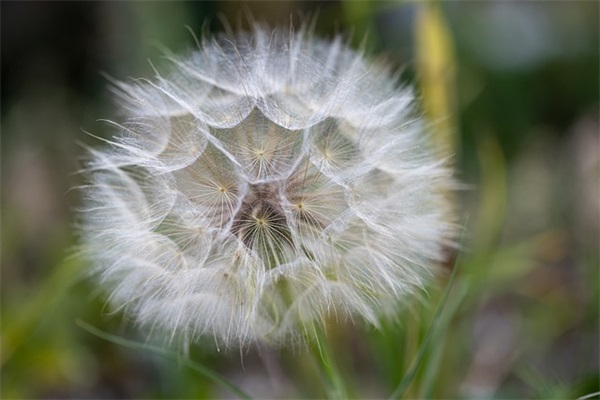谈恋爱的网名男生
