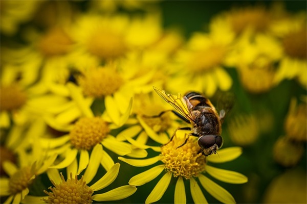 男生网名爱情一点