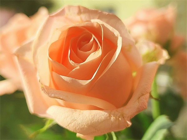 男生网名字大全