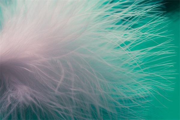 带晓字男生网名