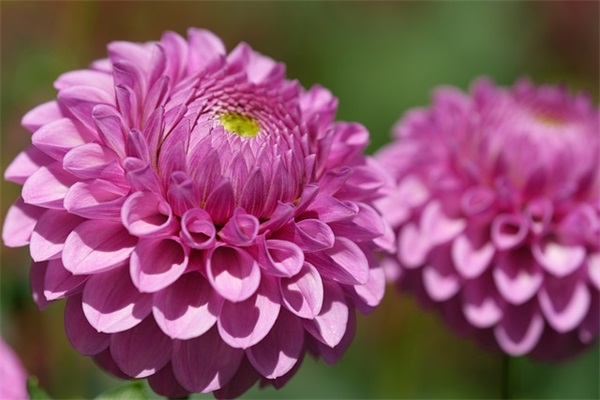 适合母婴行业的网名男生