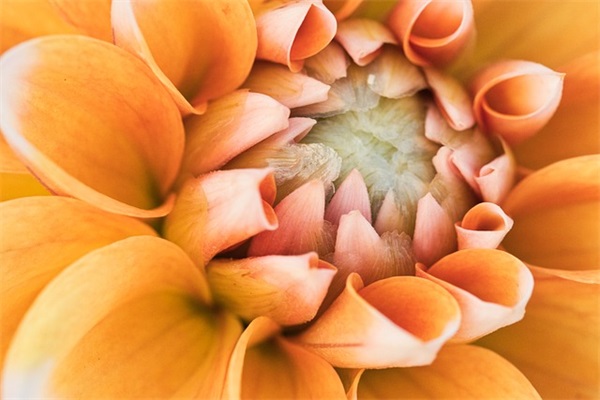 七兄弟网名男生