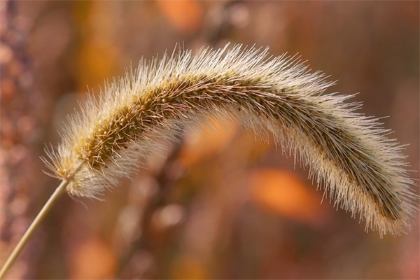 网名男生爱她的句子