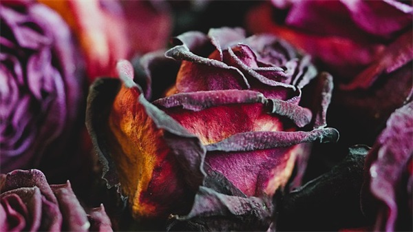 带全的男生网名大全