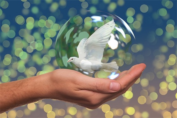 微信网名4个字大全