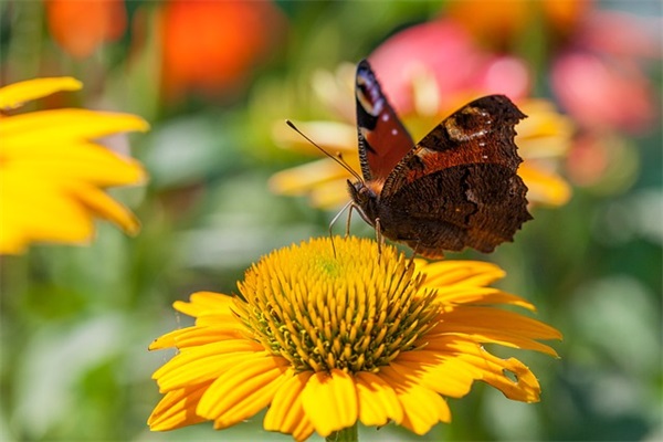 带高的网名微信名字