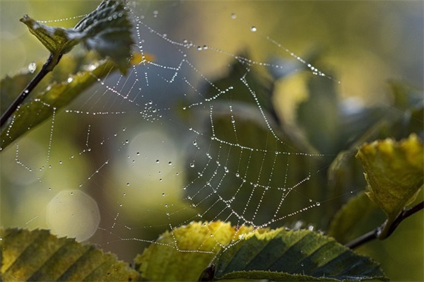 微信网名局外人