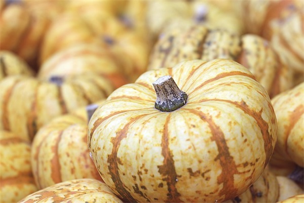 坚强女孩微信网名