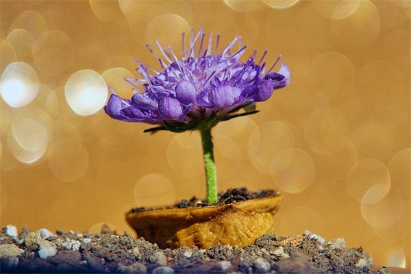 代励志的微信网名