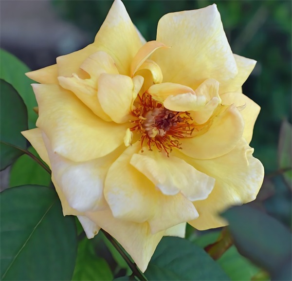 时间微信网名造名