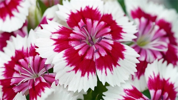 男生的高冷7微信网名