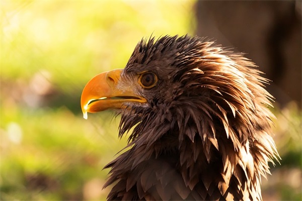 微信网名治愈四个字