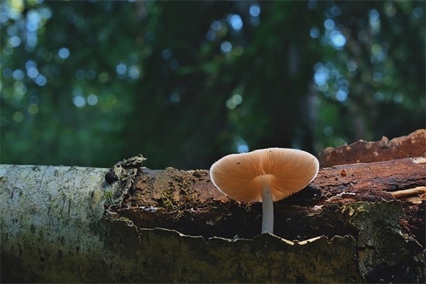 网名男微信名字大全