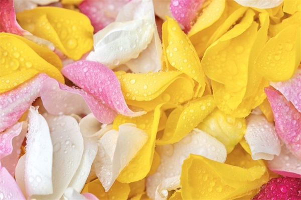 微信网名征服繁体字