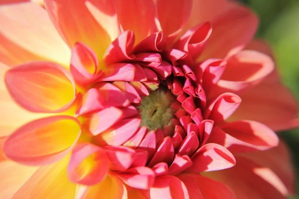 40岁男人微信网名