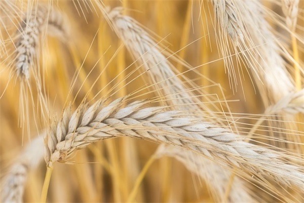 最新微信好听的网名